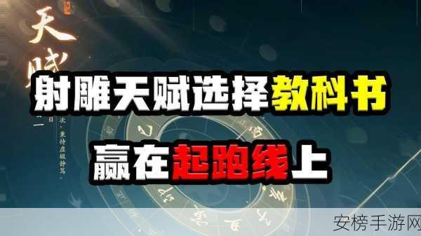 射雕手游2024新手攻略，开局职业天赋选择全解析，助你称霸江湖！