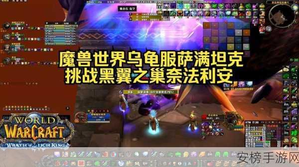 魔兽世界乌龟服黑翼之巢 4-6 号 BOSS 珍稀掉落大揭秘