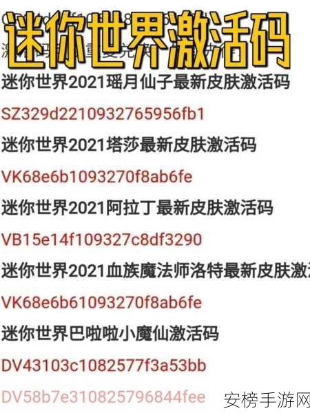 迷你世界2024永久激活码大揭秘，独家获取渠道与最新动态