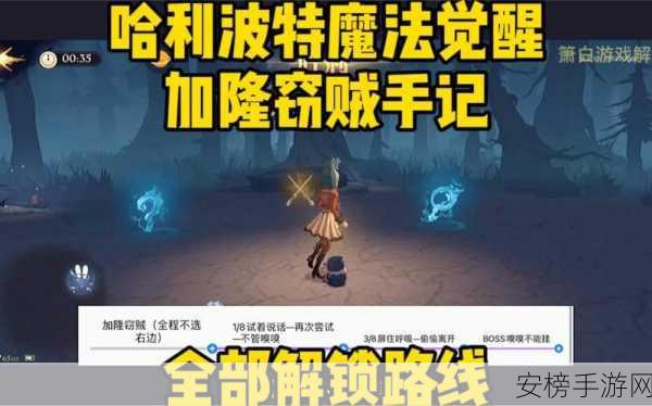 哈利波特魔法觉醒，解锁笔记条目秘籍大公开