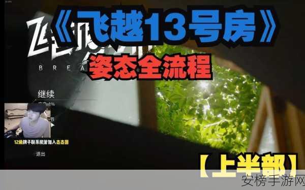 飞越13号房第九章深度攻略，揭秘绿色按钮的通关秘诀