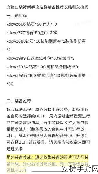 口袋宠物猪兑换码全攻略，轻松解锁珍稀宠物，享受游戏乐趣！