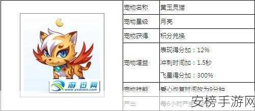 天天酷跑震撼上线，全新宠物大对决，揭秘巅峰对决细节