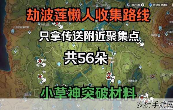 原神劫波莲，精准位置与高效采集路线全揭秘