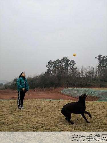 桃源深处有人家，三九寒天趣味玩法全攻略