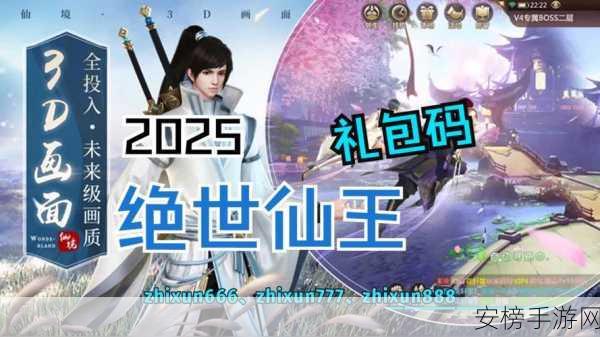 绝世仙王2024兑换码大放送，独家揭秘最新获取途径