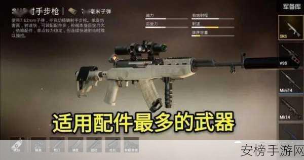 和平精英，SKS 射手步枪实战全解析，好用与否一看便知