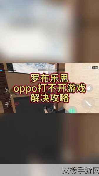 罗布乐思手游黯然退场，下架背后真相大揭秘