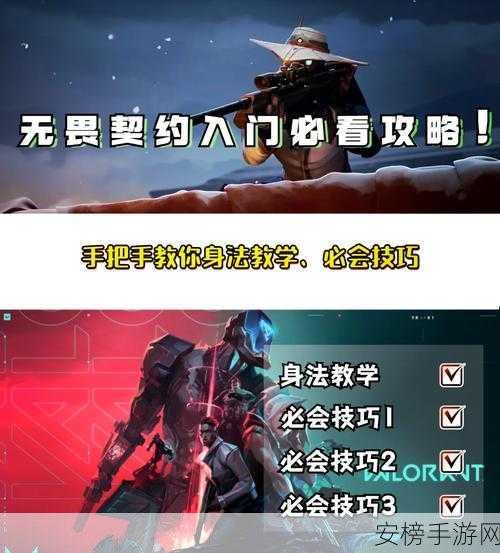 探秘无畏契约，CGRS 准星代码大揭秘与实战技巧