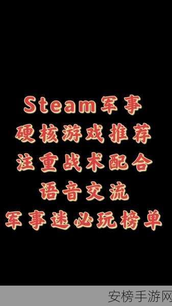 严阵以待，Steam平台价格揭秘与游戏特色深度剖析