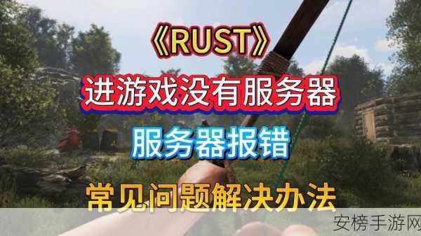 Rust 游戏无法进入？终极解决秘籍在此！