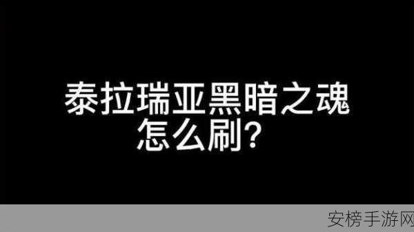 泰拉瑞亚攻略揭秘，高效刷取黑暗之魂的绝密技巧