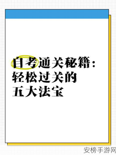 收纳人生最高礼仪，轻松通关秘籍大揭秘