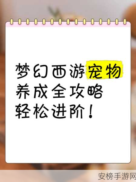 梦幻新诛仙，宠物养成攻略大揭秘，打造你的专属灵兽伙伴！