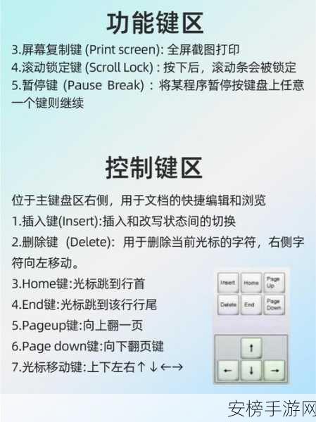 电脑畅玩幻世与冒险，高效键位设置攻略大揭秘