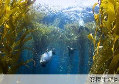 伊始之地海藻林生成秘籍，解锁生态奇迹的钥匙