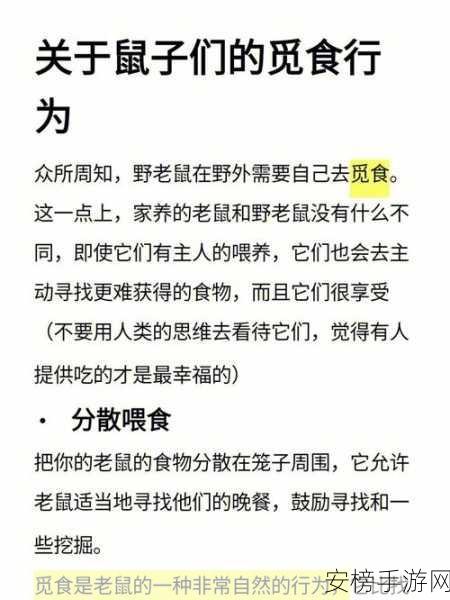 以馋鼠觅食记新手进阶秘籍，解锁快速上手、冲击高分与高效升级的独家攻略