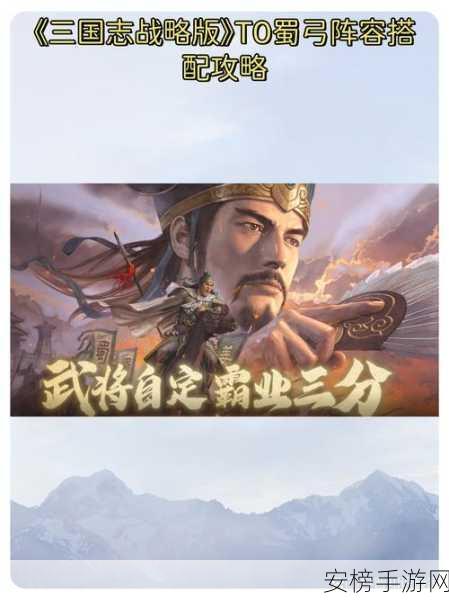 三国志战略版，姜维 T0 阵容搭配秘籍大揭秘