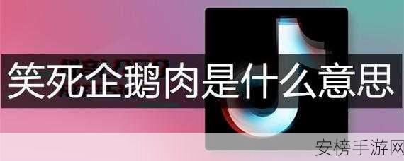 揭秘新浪微博孙健林梗，含义、出处全知道