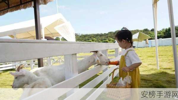 探寻动物栏桌面牧场官网 开启牧场奇妙之旅