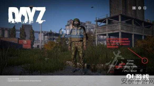 DayZ 单机模式畅玩秘籍，全方位攻略指南