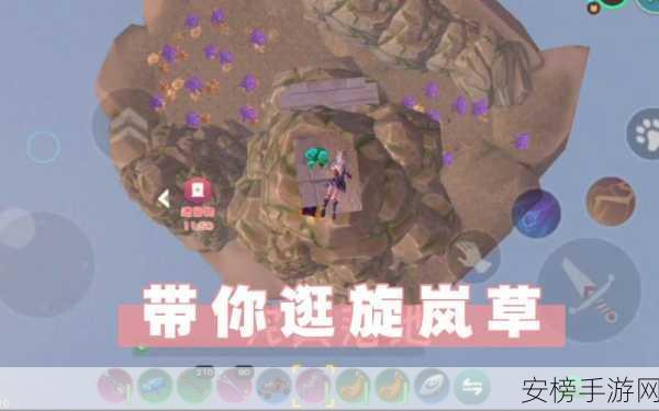 探秘创造与魔法，旋岚草获取秘籍大公开