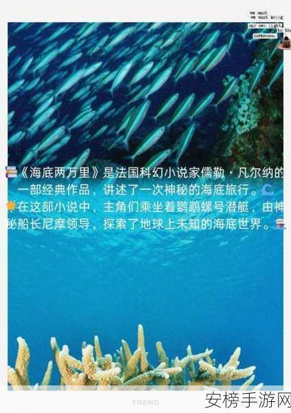 海底大探险，解锁深海奇遇，攻略秘籍大公开！