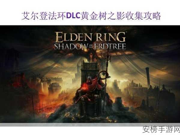 艾尔登法环 DLC 黑骑士套获取全攻略