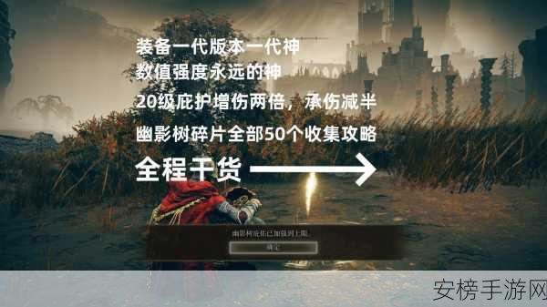 艾尔登法环 DLC 黑骑士套获取全攻略