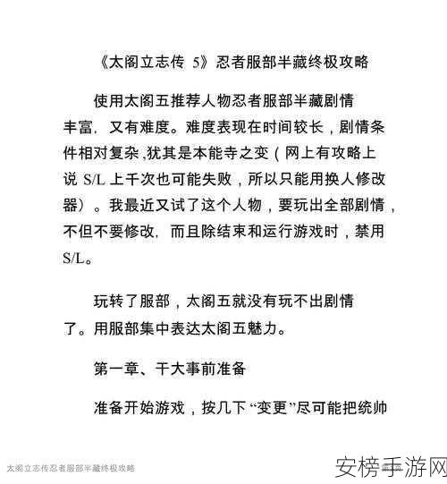 太阁立志传5DX深度解析，服部半藏剧情全攻略，解锁忍者传奇！