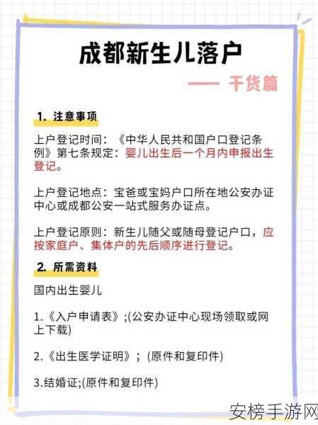 情侣宝宝领养秘籍，一步到位的详细攻略