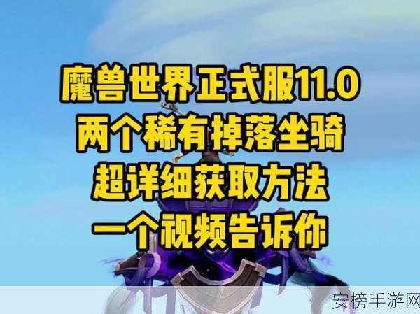 手游魔兽世界新攻略，揭秘冬泉豹幼崽胡须的高效获取法