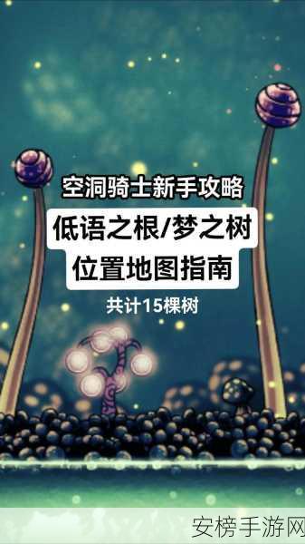 迷失古堡深度攻略，揭秘古老谜题，征服神秘遗迹