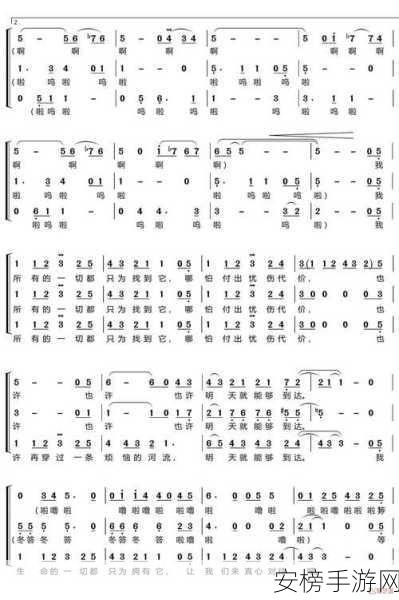 五歌音乐之旅，全面攻略与独家小贴士，助你畅游旋律世界
