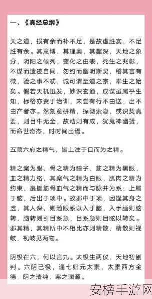 九阴真经手游深度解析，真武内功修炼秘籍与实战应用