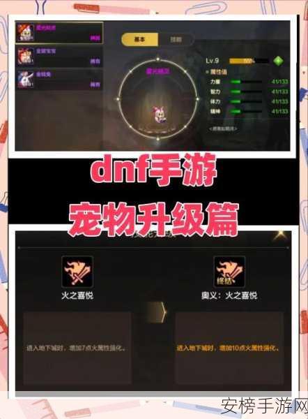 DNF15 周年宠物属性大揭秘，优劣全解析