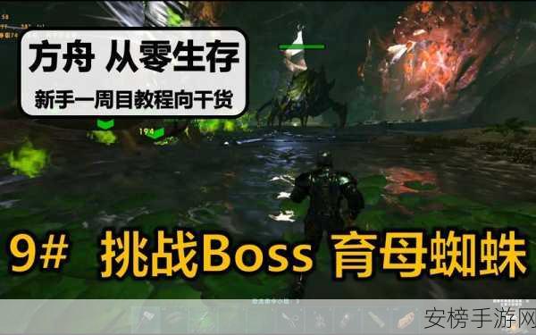 方舟手游攻略，揭秘蜘蛛BOSS专属鞍具选择与战斗技巧