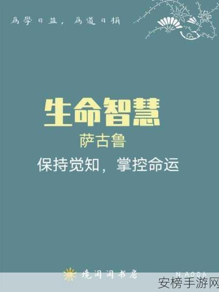 掌控命运圣契雏翠龙，技能全解与实战攻略