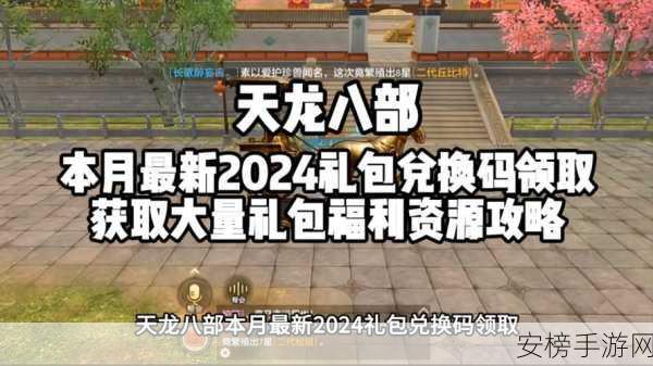 手游天龙珍稀激活码领取全攻略，独家揭秘领取渠道与活动细节