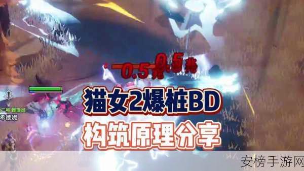 探秘火炬之光无限，猫女 BD 超强攻略指南