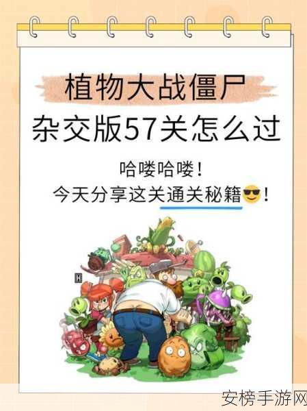 凶手找了没？第 57 关通关秘籍大揭秘