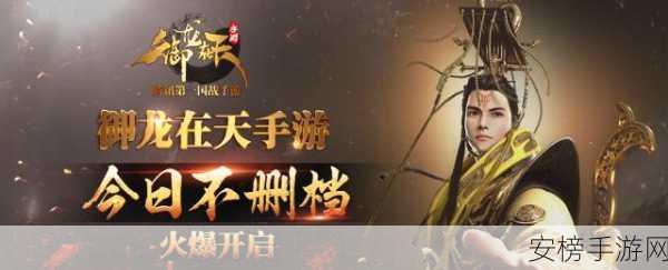 御龙在天手游，魔琴职业深度解析，竞技与乐趣并存！