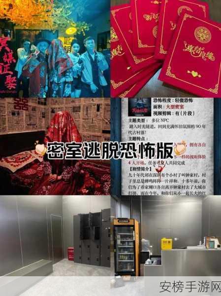 豪华密室逃脱挑战，逃出豪华房间全攻略揭秘