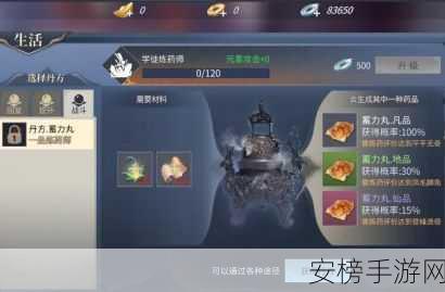 斗破苍穹手游，深度解析魔兽培养秘籍，打造顶尖魔兽大师之路