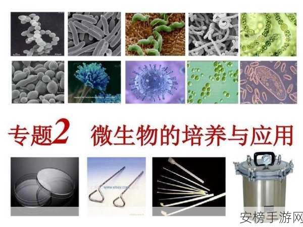 微生物奇幻之旅，微生物实验室手游深度探险攻略