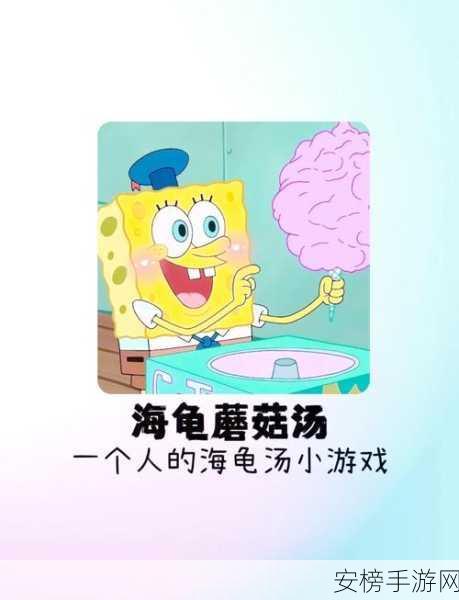 海龟蘑菇汤，破解玛丽的喜怒哀乐之谜攻略秘籍