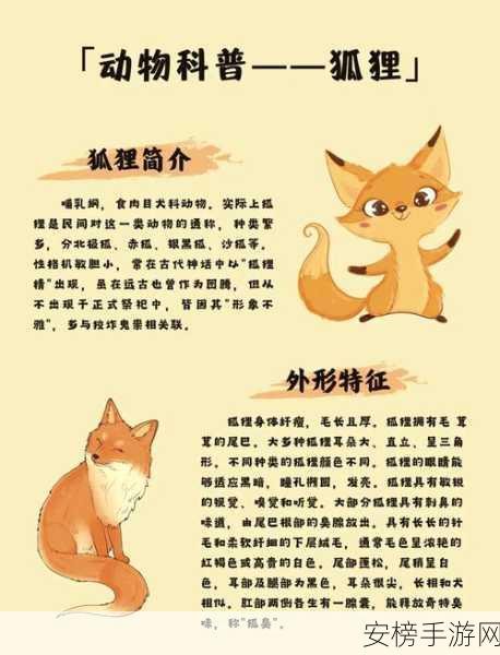 探秘米姆米姆哈，猫咪狐狸尾巴的获取秘籍