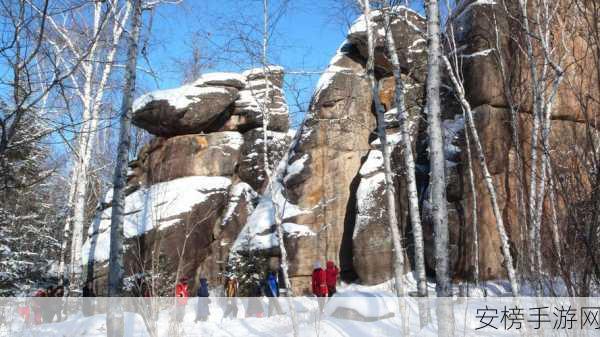 冰封挑战深度解析，林海雪原高手攻略与实战策略揭秘