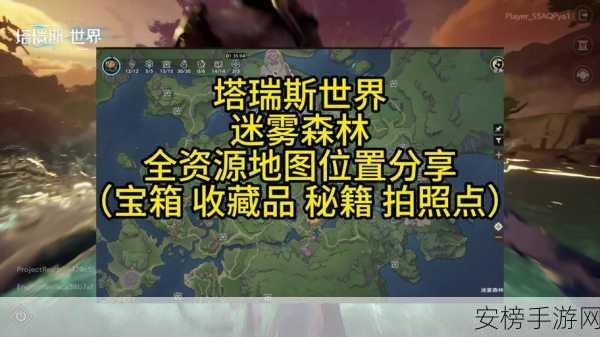 探秘塔瑞斯世界安卡什峡谷，隐藏的宝藏与惊险挑战