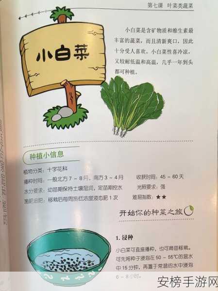 黏脚菜园新手速成指南，解锁高效种植与趣味挑战全攻略